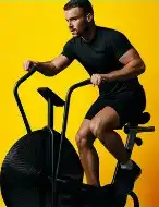 Assault Bike
